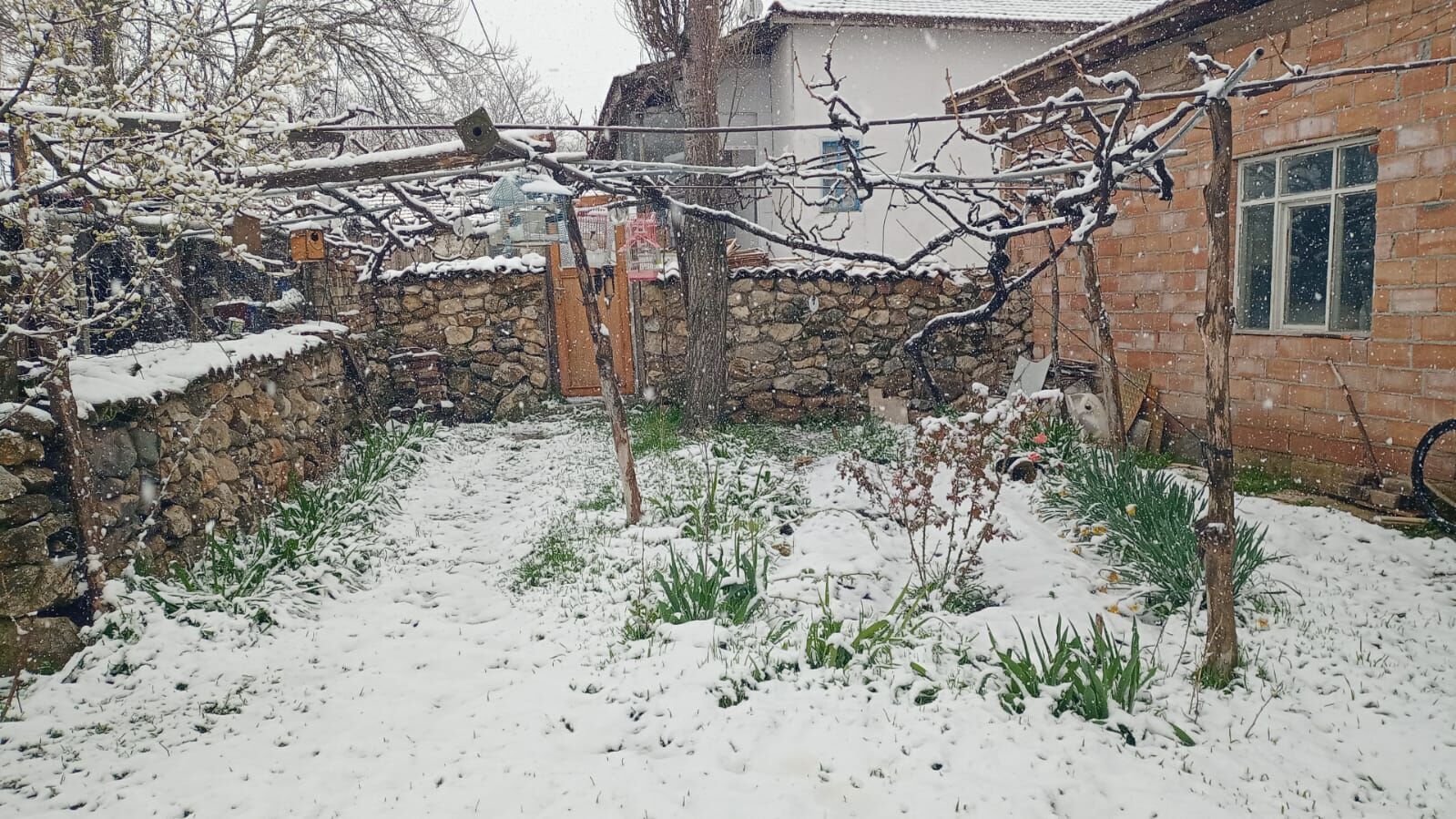 Whatsapp Image 2026 04 23 At 09.46.52 (1)