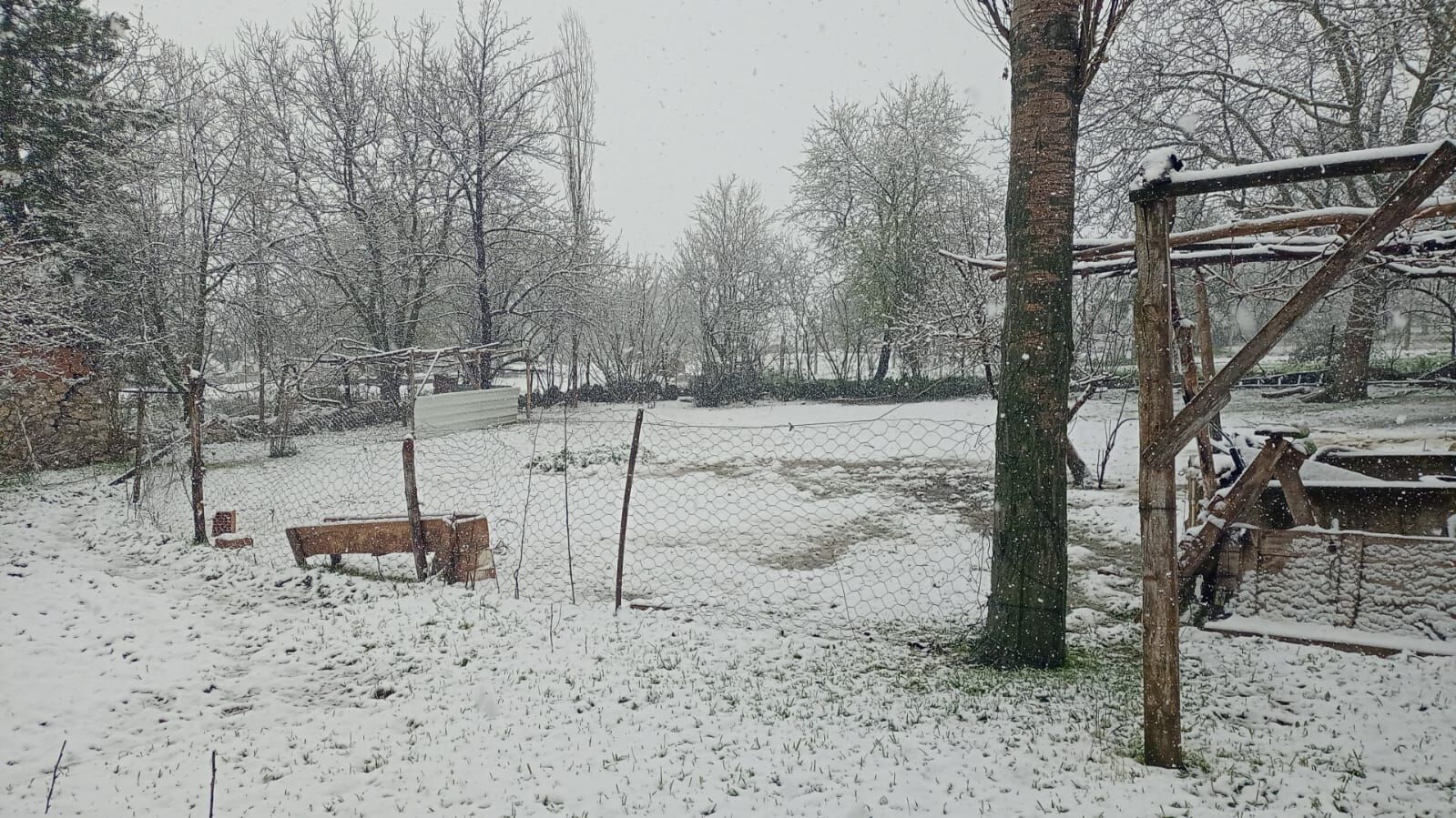 Whatsapp Image 2026 04 23 At 09.46.52