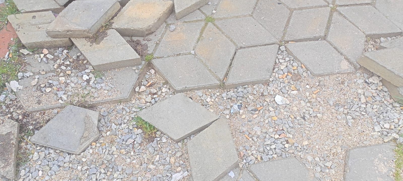 Whatsapp Image 2026 04 24 At 10.39.13-1