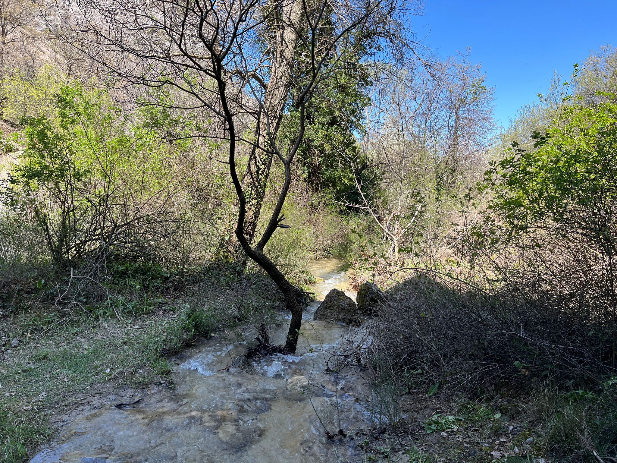 Whatsapp Image 2026 04 28 At 10.56.33 (1)