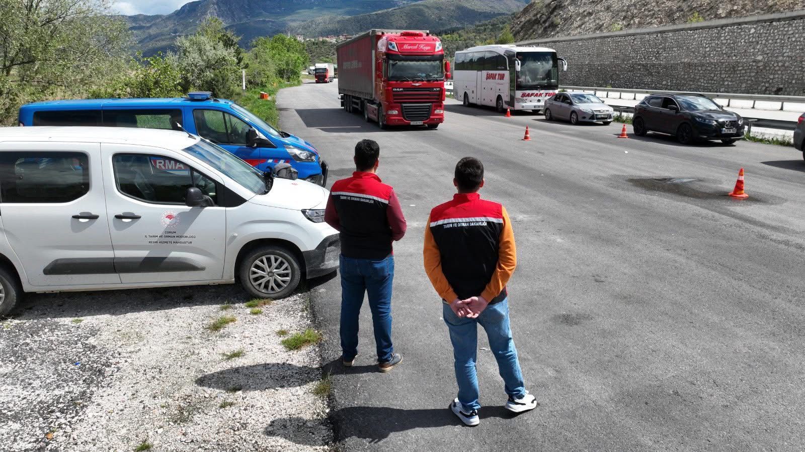 Sıkı Denetim: Belgesiz Nakle Geçit Yok!