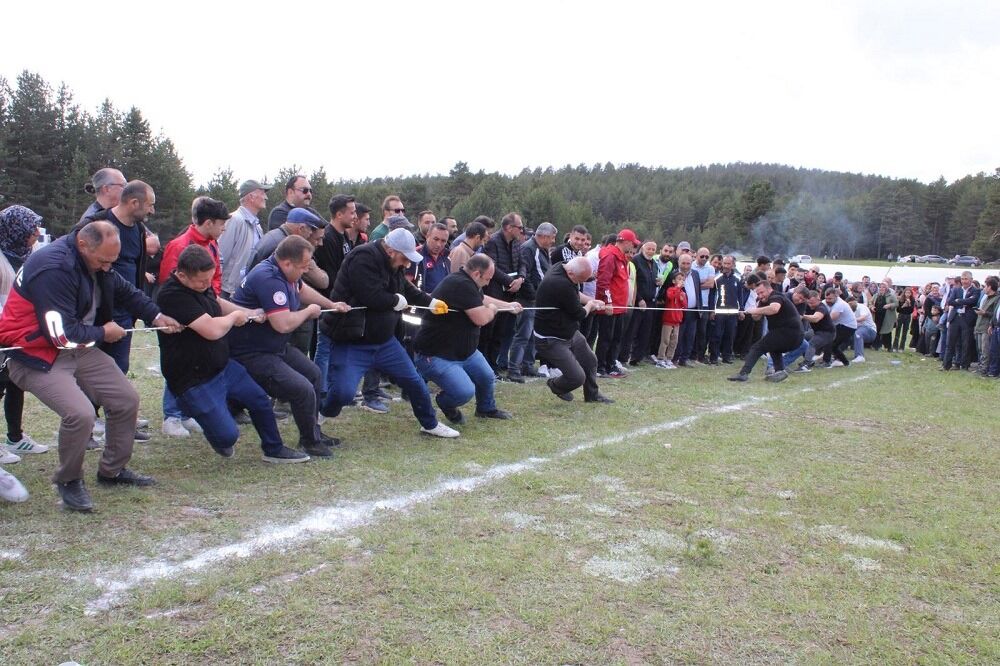Fotoğraf 2-2