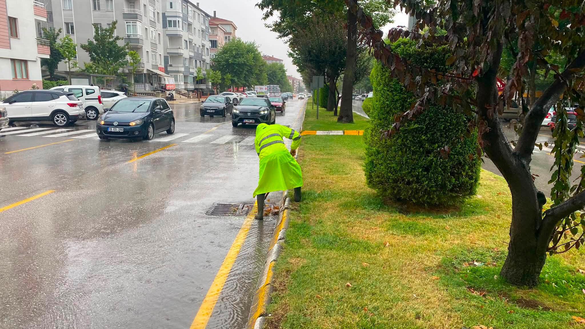 755128584 1459382876227509 979864973838865630 N