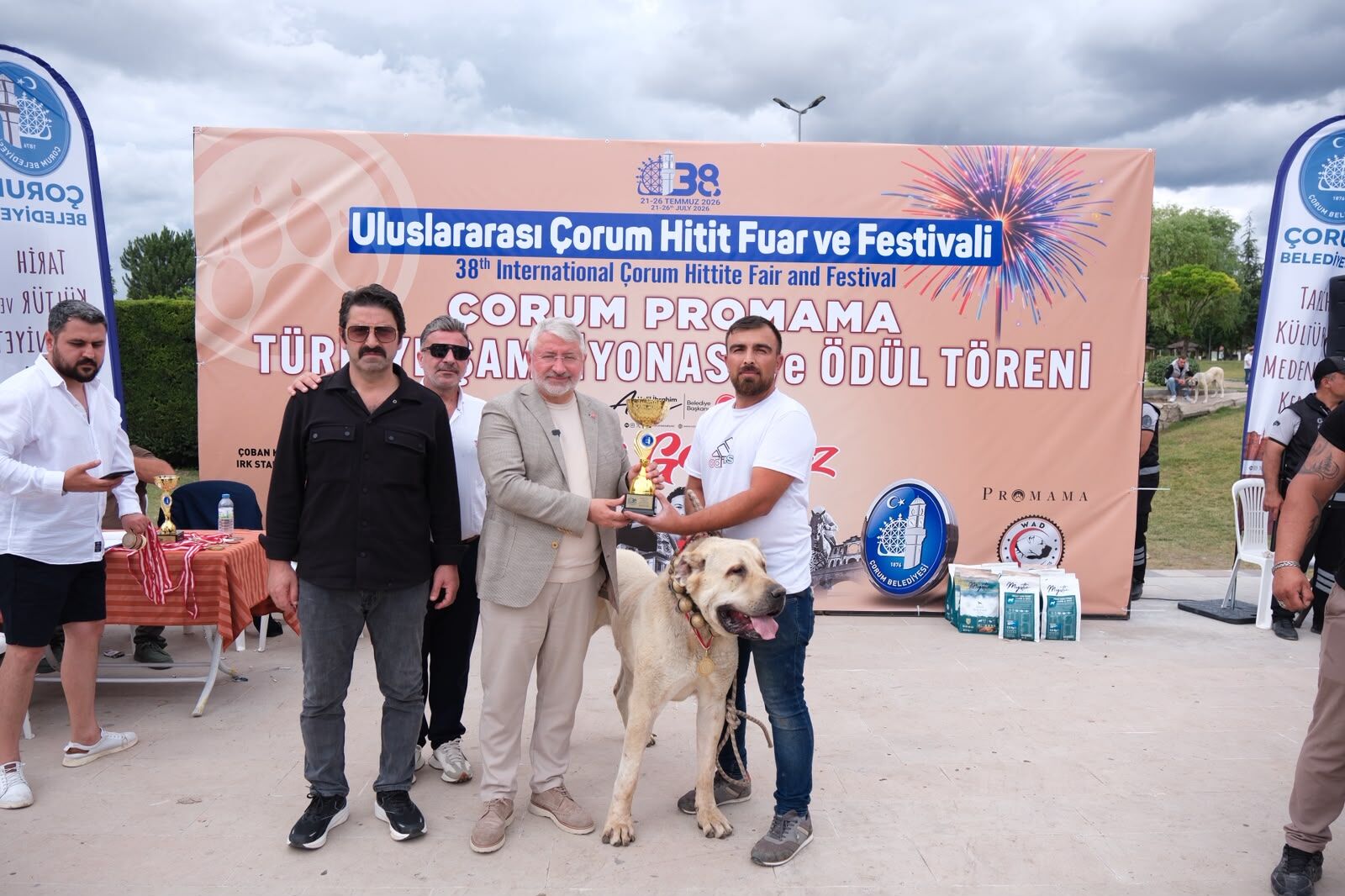 Çorum'da Türk Çoban Köpekleri̇ Görücüye Çikti (7)