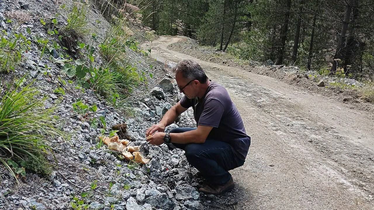 Kargı Ülkü Ocakları’ndan Yaban Hayvanları İçin Anlamlı Çalışma