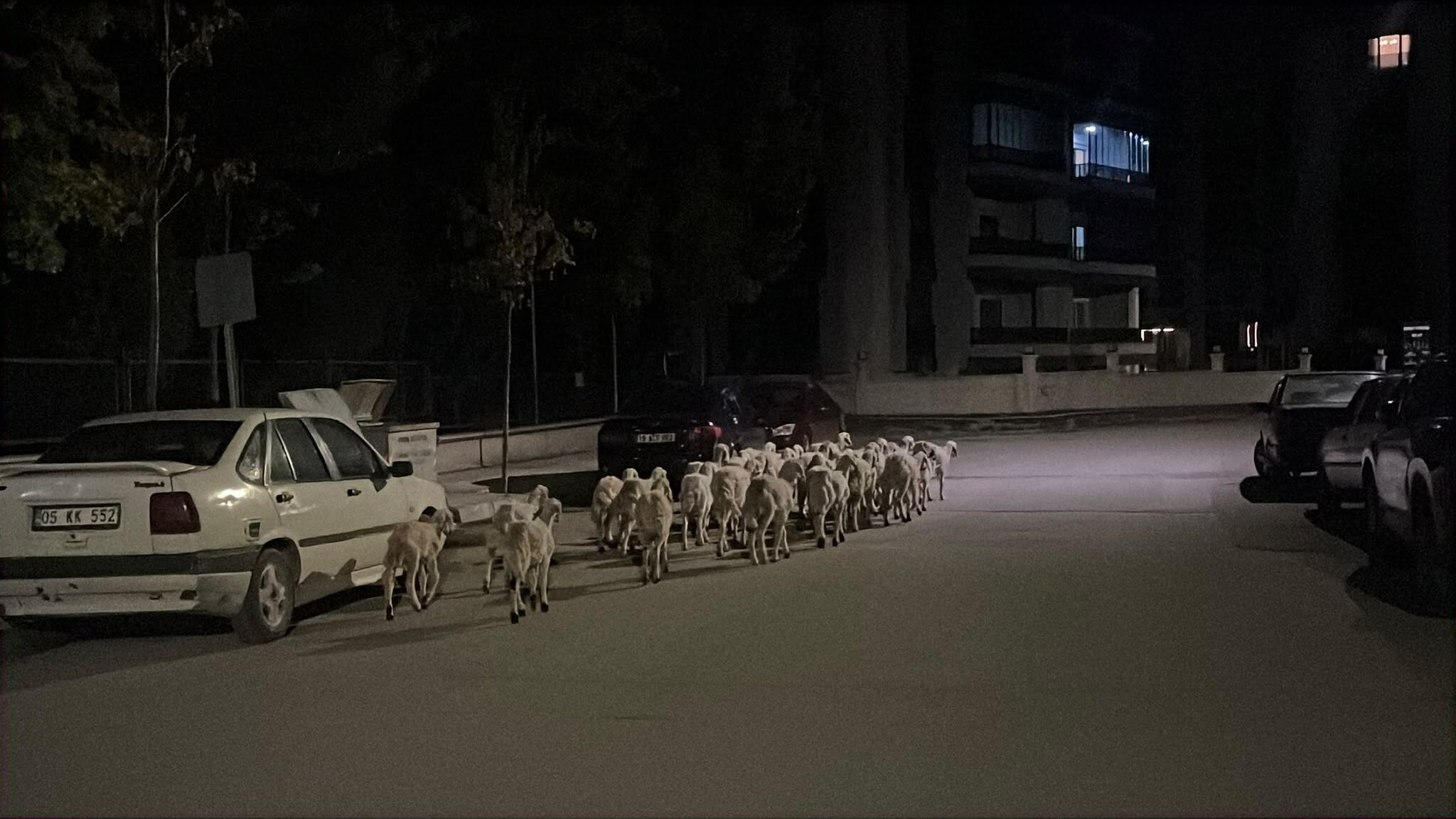 14621321 9107 47Ce A49B 24621D1Ff331
