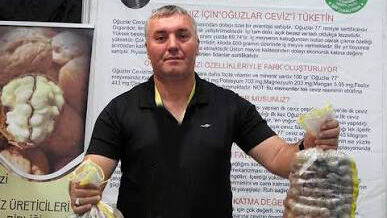 Ceviz Hasadı Başladı Fiyat Belli Oldu