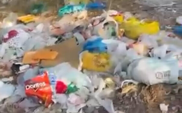 “Aslan yattığı yerden belli olur” deyip pisletip gittiler