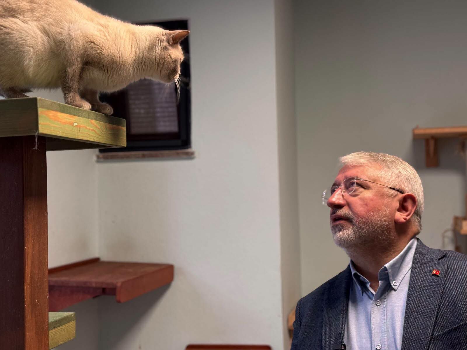 830178294 2838318866539841 3977903277689196401 N