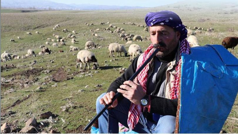 Sürü yönetimi kursu açılacak